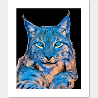 The lynx cat art a wild cat Posters and Art